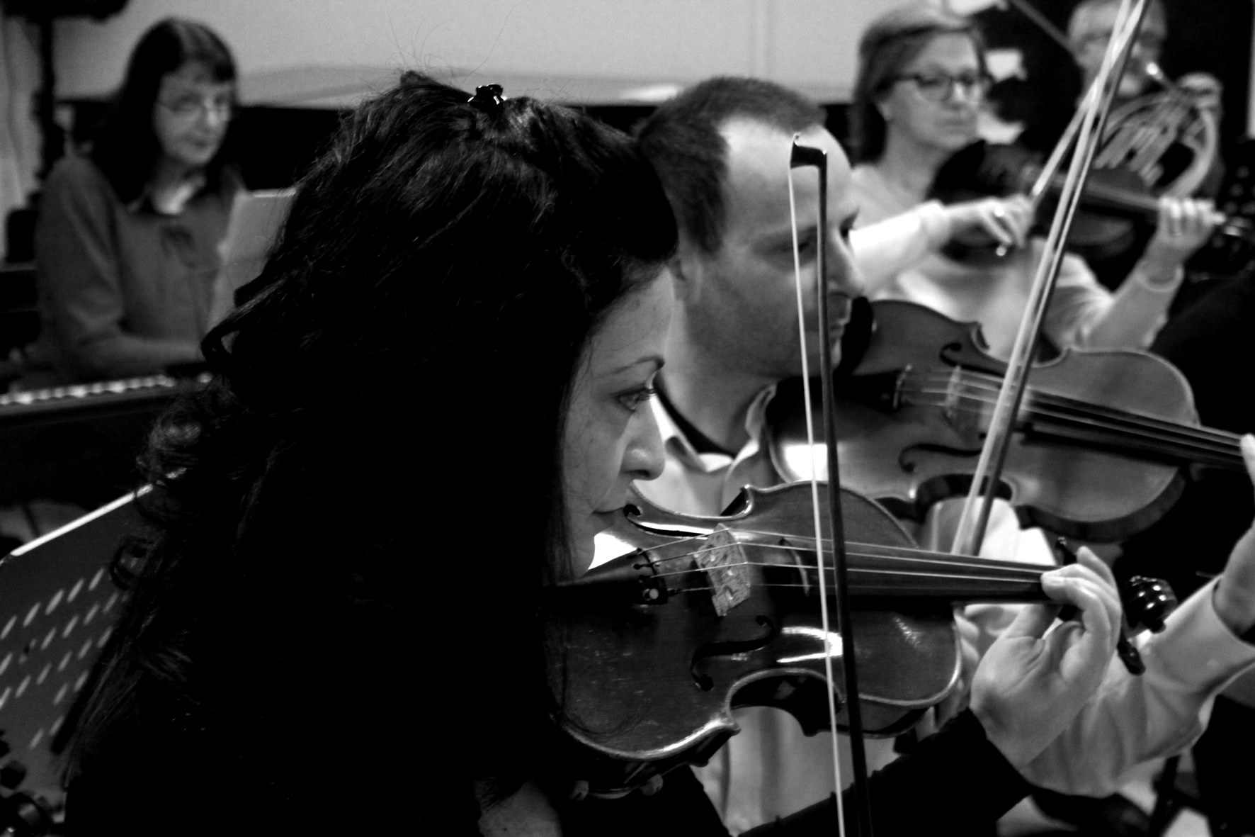 Archi Orchestra Aperta Istituto musicale Corelli