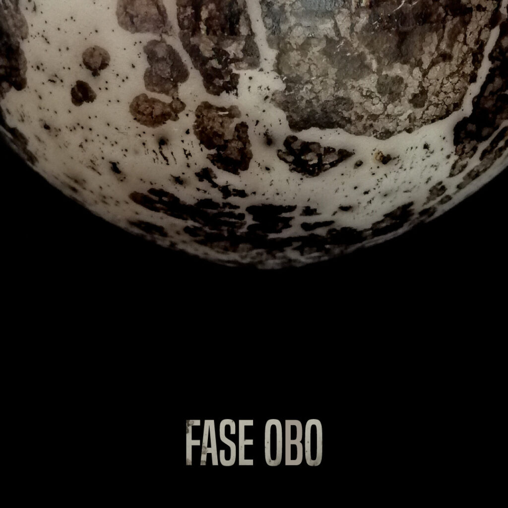 Copertina del disco Fase Obo