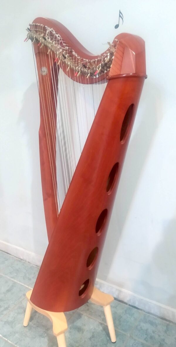 Arpa Salvi "Mia" 34 corde 1.800€