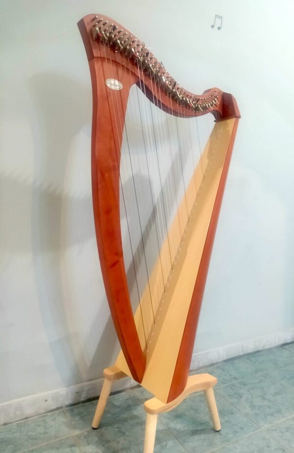 Arpa Salvi "Mia" 34 corde