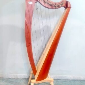 Arpa Salvi "Mia" 34 corde in vendita 1.800€