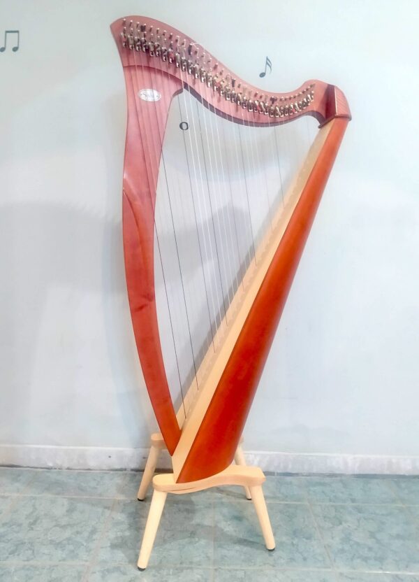 Arpa Salvi "Mia" 34 corde in vendita 1.800€
