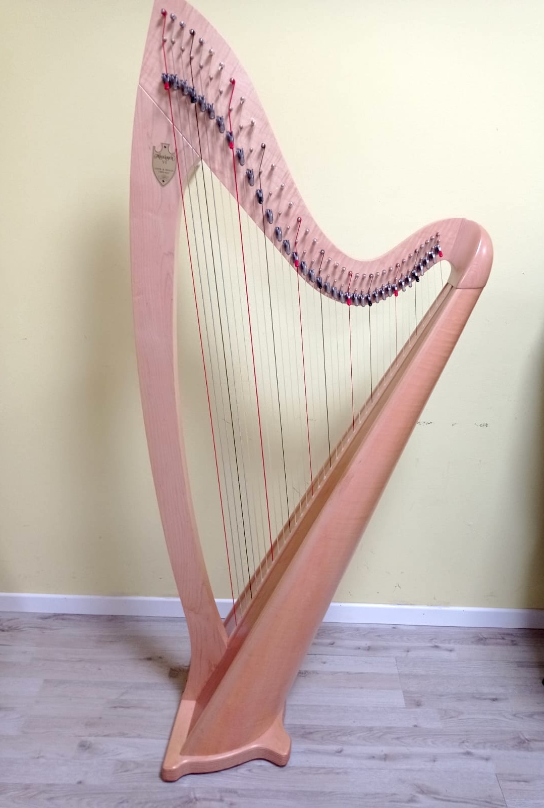 Arpa Lyon & Healy 36 corde modello Troubadour VI