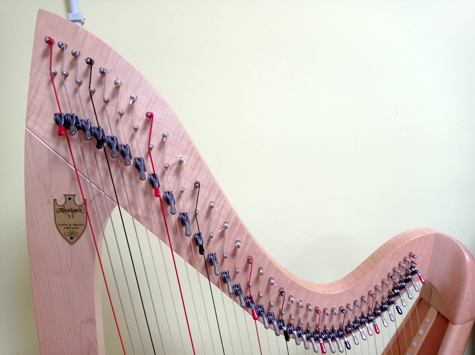 Arpa Lyon & Healy Chicago 36 corde modello Troubadour VI