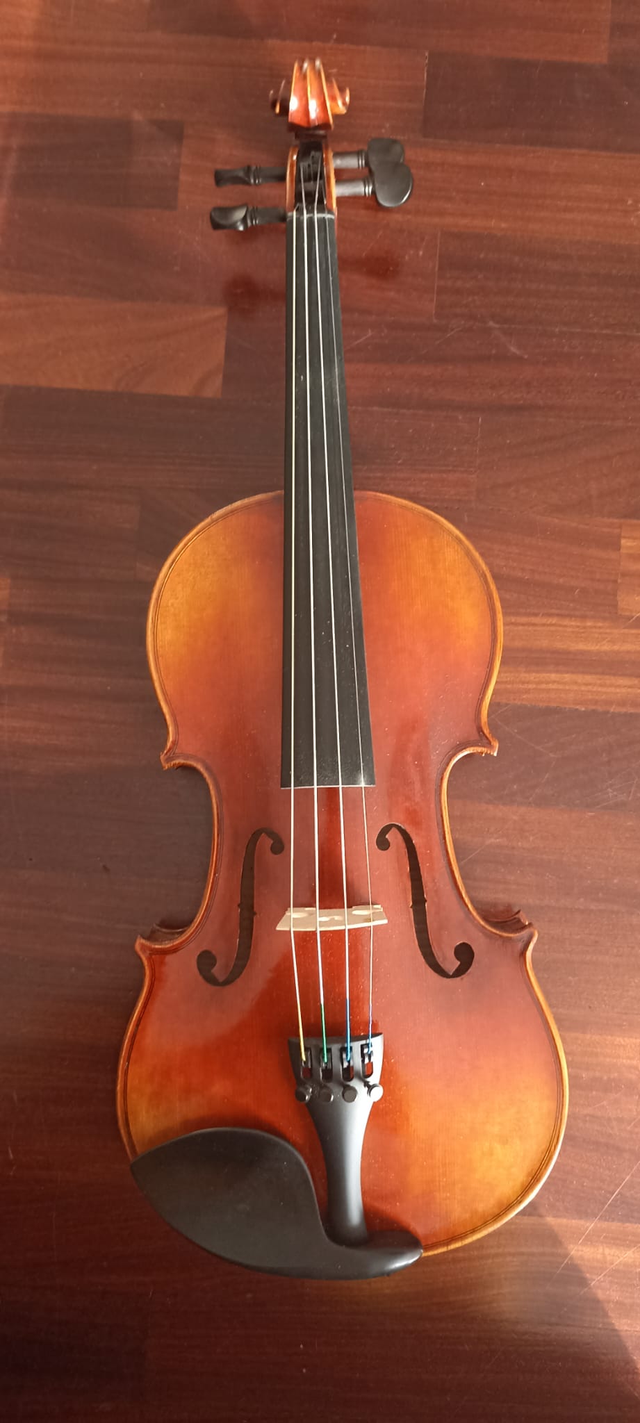 Violino di liuteria est Europa