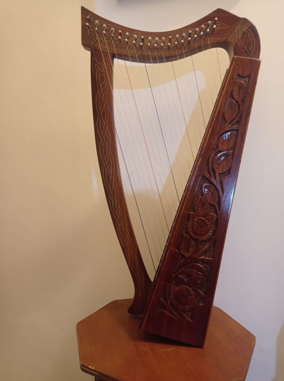 Arpa celtica 19 corde noleggio o vendita