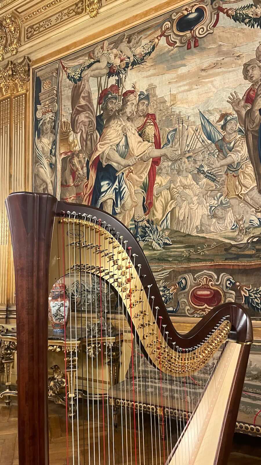Arpa in salone classico